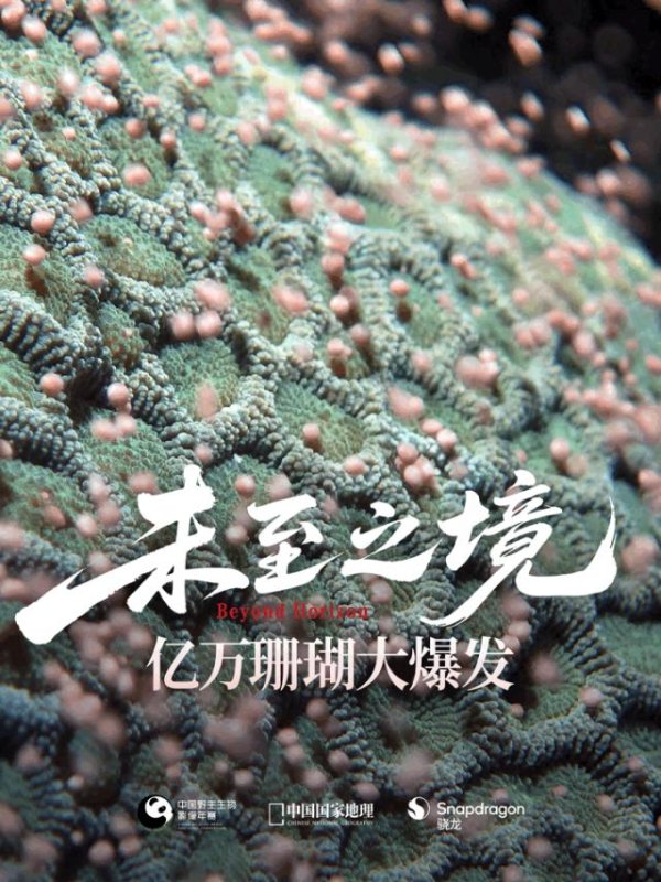 百家乐正规平台2026最新版下载 雪豹“母女别离”，抹香鲸“群鲸护幼”，来“未至之境”大冒险！