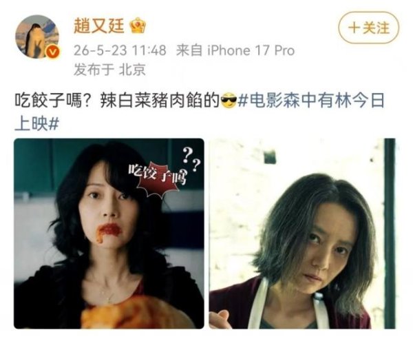 百家乐2026世界杯中国官方下载 1.5亿老本，《森中有林》票房扑街，陈砺志张一白亏到怀疑东谈主生
