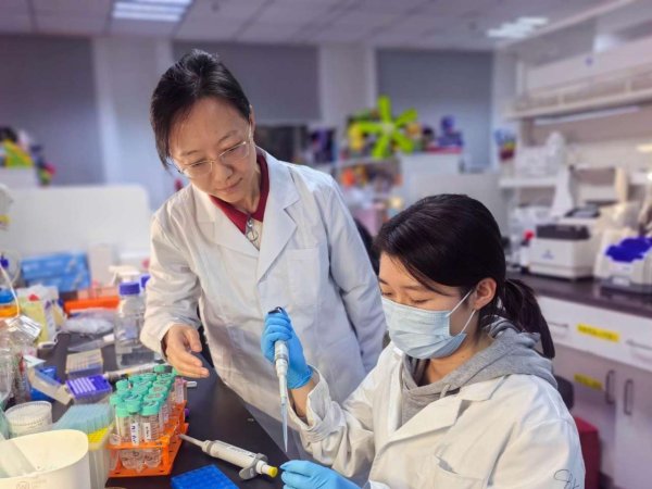 百家乐正规平台2026最新版下载 中国科学团队发现全新脑脊液“分型密码”，神经退行性疾病早期会诊迎来朝阳