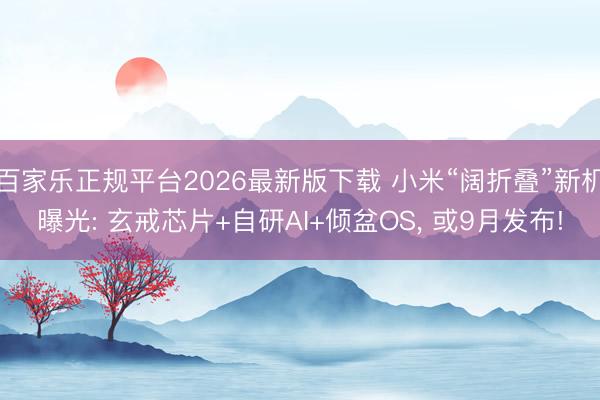 百家乐正规平台2026最新版下载 小米“阔折叠”新机曝光: 玄戒芯片+自研AI+倾盆OS， 或9月发布!