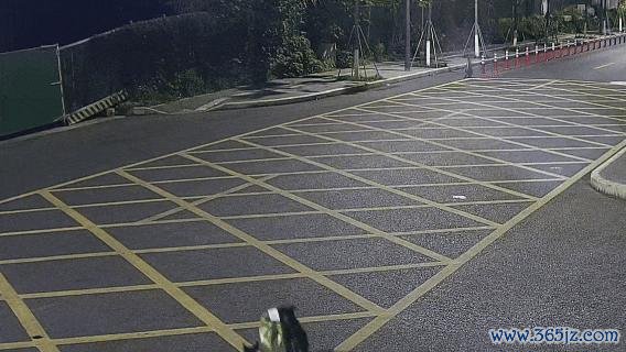 民警办完盗窃案发现外卖被狗偷走 加班遇“狗贼”
